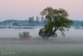 008_Biebrza - kwiecien 2012